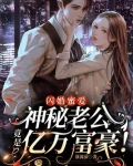 闪婚蜜爱:神秘老公竟是亿万富豪!