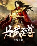 丹武至尊