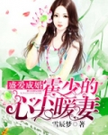 盛爱成婚:霍少的心尖暖妻