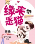 缘来是猫