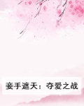 妾手遮天:夺爱之战