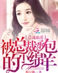 总裁霸爱:被总裁承包的小绵羊
