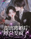 提出离婚后,傅总发疯了