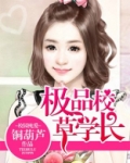 极品校草学长