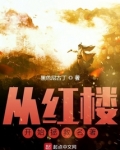从红楼开始拯救名著