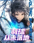 羽球:从解析之眼开始