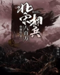 北宋拥兵八百万