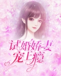 试婚娇妻宠上瘾