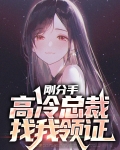 刚分手,高冷总裁找我领证