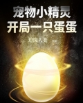 宠物小精灵开局一只蛋蛋