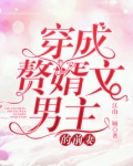 穿成赘婿文男主的前妻