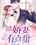 总裁蜜蜜宠:老婆有点甜