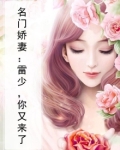 名门娇妻:雷少,你又来了
