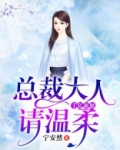 千亿新娘,总裁大人请温柔