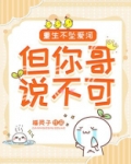 重生不坠爱河,但你哥说不可