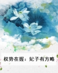 权势在握:妃子有方略