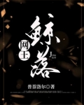 网王鲸落