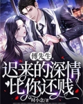 傅先生,迟来的深情比你还贱