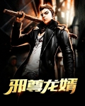 邪尊龙婿
