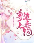 尊上追妻跑