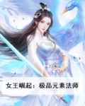 女王崛起:极品元素法师