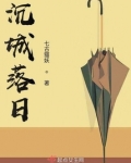 沉城落日