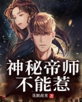 神秘帝师不能惹