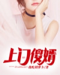 上门傻婿