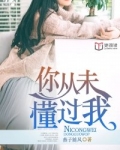 你从未懂过我
