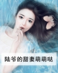 陆爷的甜妻萌萌哒