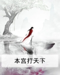 本宫打天下