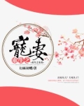重生之宠妻