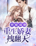 替嫁成婚:重生娇妻拽翻天