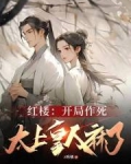 红楼:开局作死,太上皇人麻了