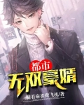 都市无双豪婿