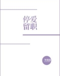 停爱留职