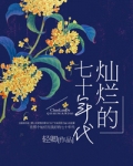 灿烂的七十年代