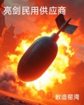 亮剑民用供应商