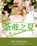荼蘼之夏