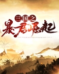 三国之暴君崛起