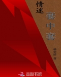 情迷套中套