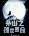 茅山之孤星照命