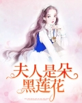 夫人是朵黑莲花