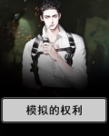 模拟的权利