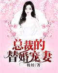 总裁的替婚宠妻