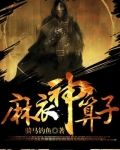 麻衣神算子