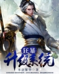 狂暴升级系统