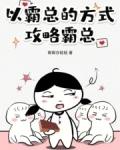 以霸总的方式攻略霸总