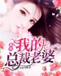 都市:我的总裁老婆