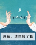 总裁,请你放了我